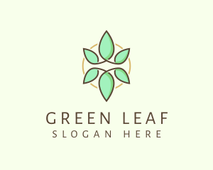 Natural Herbal Leaf logo design