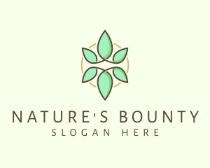 Natural Herbal Leaf logo design