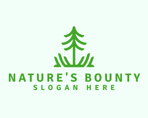 Pine Tree Nature  logo design