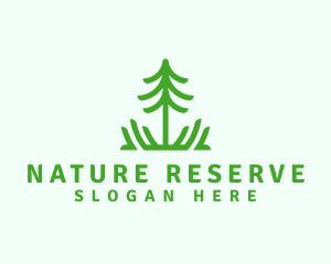 Pine Tree Nature  logo design