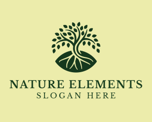 Natural Mangrove Tree logo design