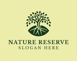 Natural Mangrove Tree logo design