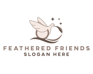 Bird Dove Feather  logo design