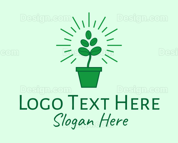 Green Coffee Bean Plant Logo