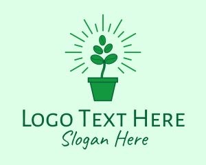 Green Coffee Bean Plant logo