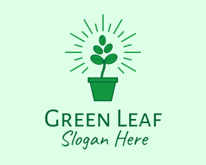 Green Coffee Bean Plant logo design