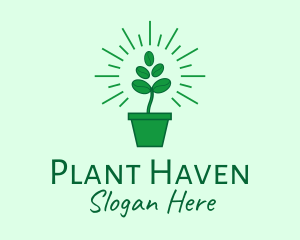 Green Coffee Bean Plant logo design