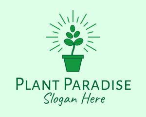 Green Coffee Bean Plant logo design