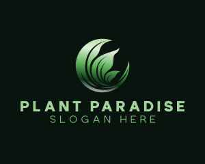 Natural Leaves Plant logo design