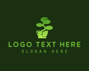 Bonsai Tree Plant Logo