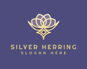 Premium Lotus Spa logo design