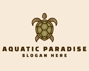 Brown Sea Turtle logo design