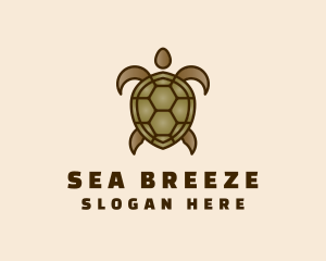 Brown Sea Turtle logo design