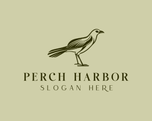 Bird Crow Aviary logo