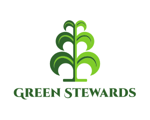 Green Tree Plant logo design