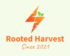 Orange Bolt Carrot logo design