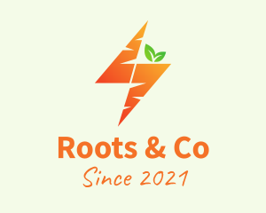 Orange Bolt Carrot logo design