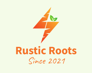 Orange Bolt Carrot logo design