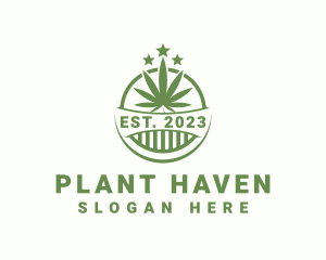 Marijuana Herb Plant logo design