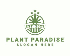 Marijuana Herb Plant logo design