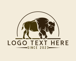 Bison Western Rodeo logo
