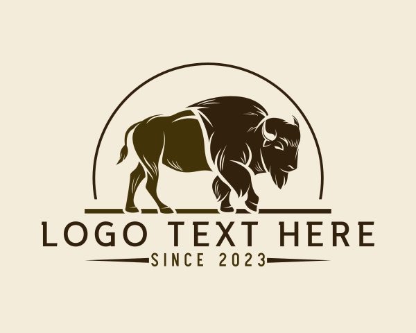 Rodeo logo example 2