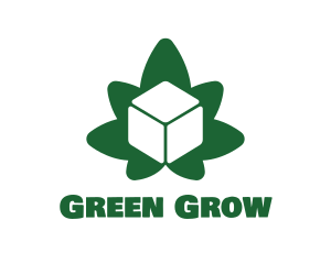 Green Cube Marijuana logo design