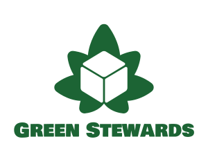 Green Cube Marijuana logo design