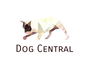 Colorful Geometric Pet logo design