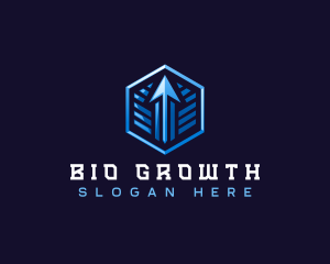 Modern Arrow Growth  logo design