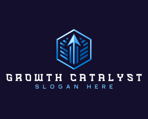 Modern Arrow Growth  logo design