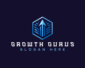 Modern Arrow Growth  logo design