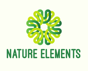 Nature Botanical Flower logo design