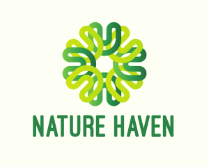 Nature Botanical Flower logo design