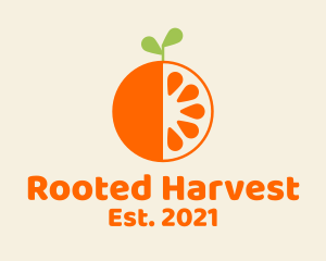 Fresh Orange Fruit  logo design