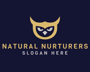 Owl Bird Head logo design