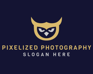 Owl Bird Head logo design