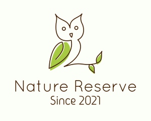 Monoline Nature Owl logo design