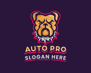 Bulldog Collar Gaming logo