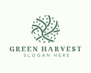 Green Branch Leaf logo design