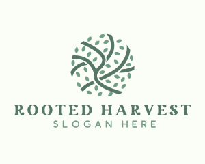 Green Branch Leaf logo design