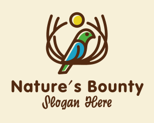 Bird Nature Branch  logo design