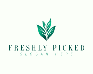 Natural Eco Leaf logo design