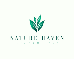 Natural Eco Leaf logo design