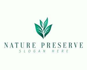 Natural Eco Leaf logo design