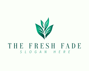 Natural Eco Leaf logo design