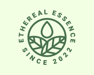 Eco Leaf Extract logo design