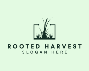 Gardening Grass Lawn logo design