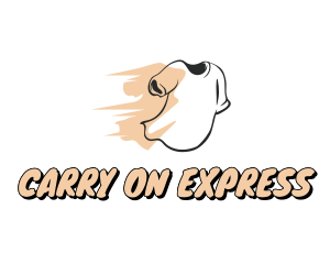 Express Tee Laundry  logo design