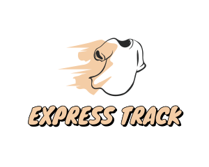 Express Tee Laundry  logo design